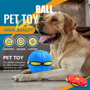 2023 New Pet Dog Toy Magic Flying Saucer Ball Durable Soft Rubber Interactive Throwing Ball Outdoor Sport Dog Training Equipment